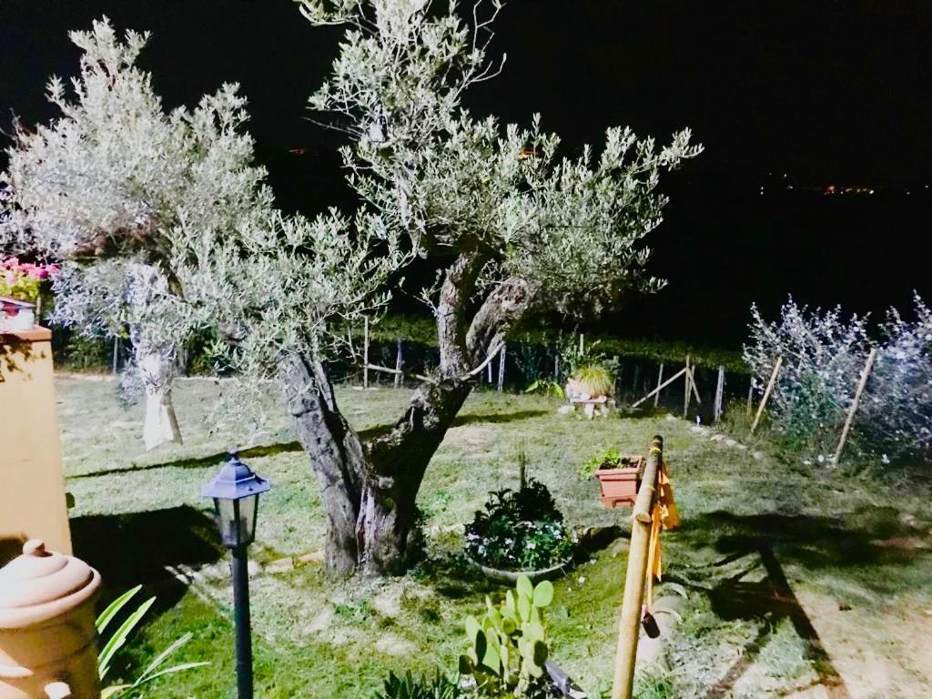 Sarno Villa